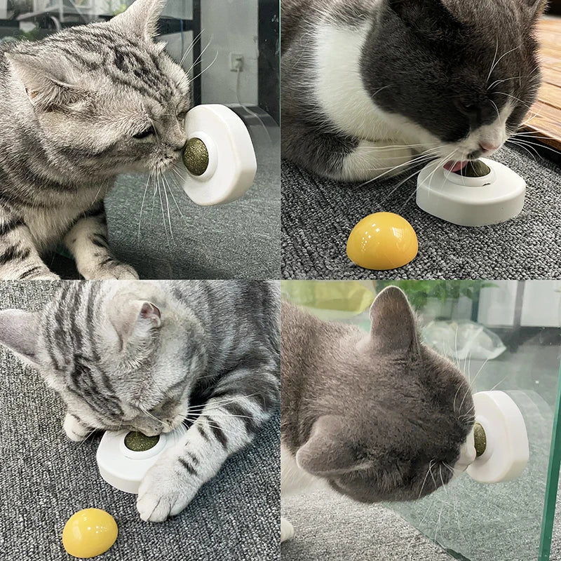 Cat Toy Catnip Cats Licking 360 Degree Rotating Toys Ball Cleans Mouth Promotes Digestion Kitten Accessories Pet Supplies