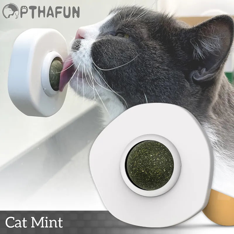 Cat Toy Catnip Cats Licking 360 Degree Rotating Toys Ball Cleans Mouth Promotes Digestion Kitten Accessories Pet Supplies